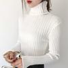 Autumn and Winter Turtleneck Sweater Women's Knit Bottoming Shirt Slim Inside Long Sleeves