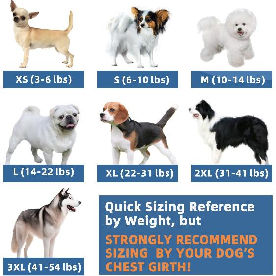 2-Pack Dog Hooded Sweaters & Jackets - Soft Dog Clothes Hoodie for Small/Medium/Large Dogs & Cats | All-Season Comfort & Fit, Stylish Pet Shirts