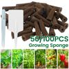 100Pcs Seed Grow Sponges Replacement Root Growth Sponges Seedling Starter Plugs Starting Seed Pod Hydroponic Garden Planting