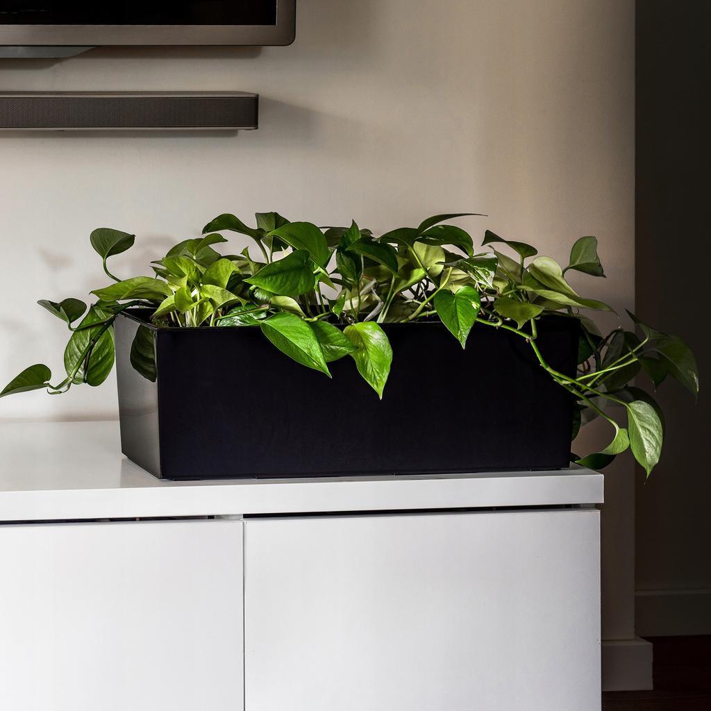 KADAX Doniczka Donica Skrzynka Balkonowa Z Wkładem Kwietnik Czarny Połysk 19x56cm