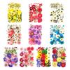 1 Set Dried Pressed Flowers Kit Colorful Natural Flowers DIY Art Crafts Supplies Resin Jewelry Epoxy Mold Candle Soap Vase Making Nail Card