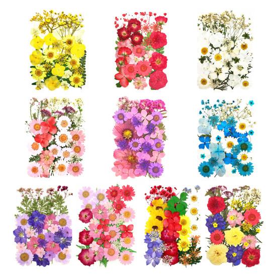 1 Set Dried Pressed Flowers Kit Colorful Natural Flowers DIY Art Crafts Supplies Resin Jewelry Epoxy Mold Candle Soap Vase Making Nail Card