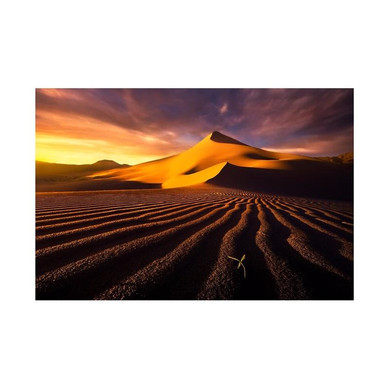 Фон для фотосъемки серии «Пустыня» с природными пейзажами, фон для фотосъемки, студийные принадлежности, реквизит, домашний декор