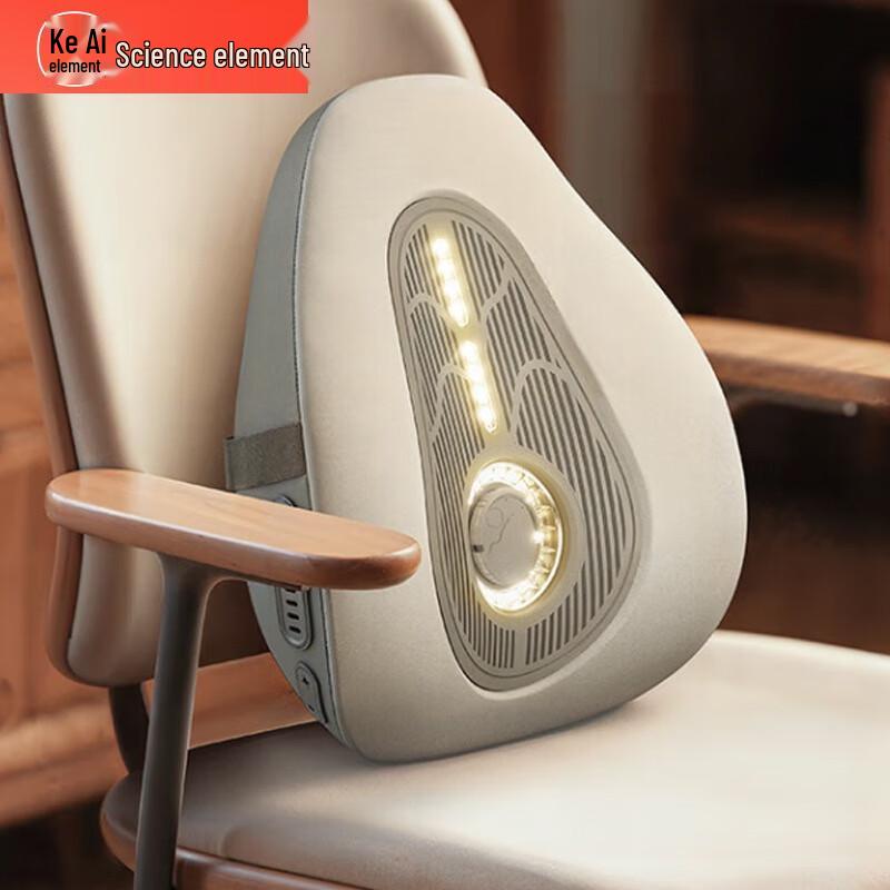 Koaielement Heated Massage Cushion