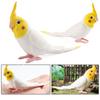 Educational Simulation Parrot Figurine Cute Parrot Ornament Bath Toys Bird Sculpture Home Garden