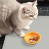 Pet Placemat Waterproof Silicone Pet Food Mat with Raised Edges Spill-proof Pet Bowl Mat for Dogs Cats