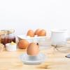 Набор держателей для яиц, небьющийся лоток для яиц, не содержащий бисфенол-А, современный держатель для яиц с защитой от переполнения и подставкой для ложек, компаньон для завтрака на кемпинге или пикнике