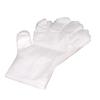 100 Pieces Food Plastic Gloves Multi-functional Single-use Cooking Glove Protective Cleaning Restaurant Fruit Beauty Outdoor