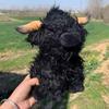Симуляция Шотландская корова Плюшевая кукла-животное Мягкая набивная плюшевая игрушка Шотландская корова Каваи Подарок для детей и младенцев Игрушка Домашний декор для комнаты