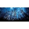 Forest Blue Sky Star Night 5D Diamond Embroidery Painting DIY Cross Stitch Decor
