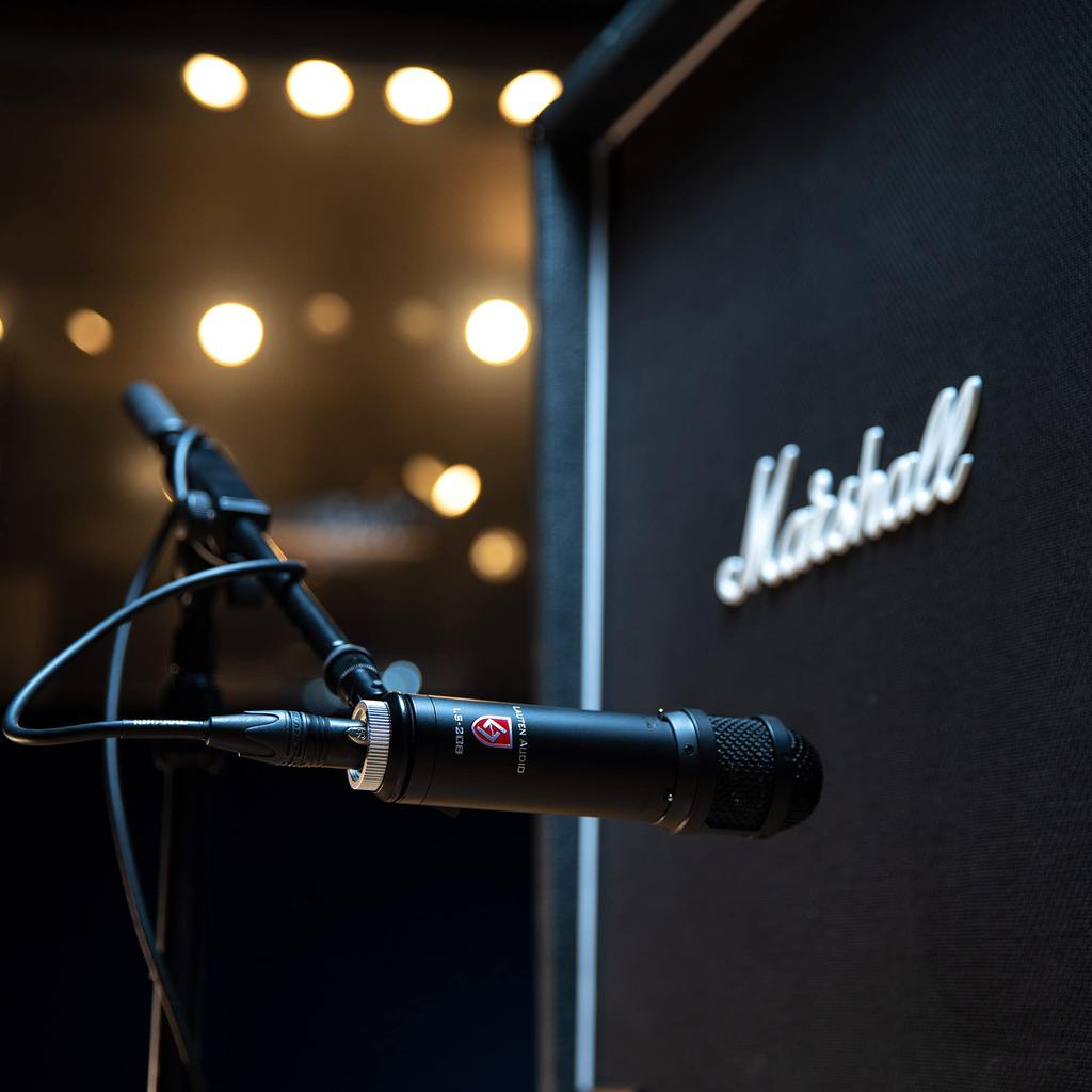 Конденсаторный микрофон с большой диафрагмой и фронтальным расположением Lauten Audio LS-208