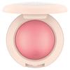 Catrice Blusher Soft Glam Baked 040, 5.6g