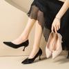 Black High Heels Women's Thin Heels 2025 New Summer Pointed Temperament Work Professional Shoes 666-122