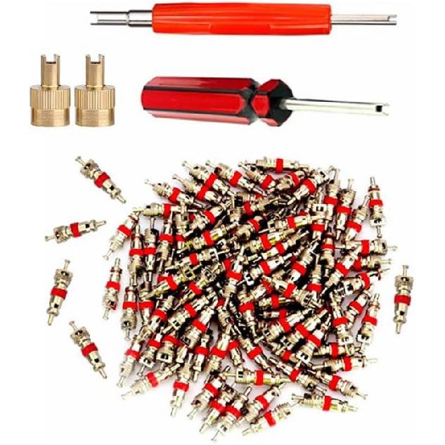 Valve Core Remover with 100 Pcs Car Truck Replacement TPMS Nickel Plated Tire Tyre Valve Stem Core Dual Single Head Valve Core Remover Tire Repair