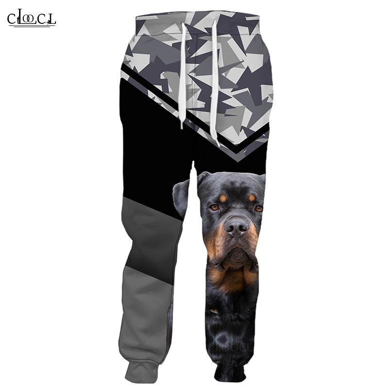 Весенне-осенние спортивные штаны Стаффорд-бультерьер с 3D принтом, повседневные мужские брюки, мужские и женские спортивные штаны в стиле Харадзюку, уличная одежда