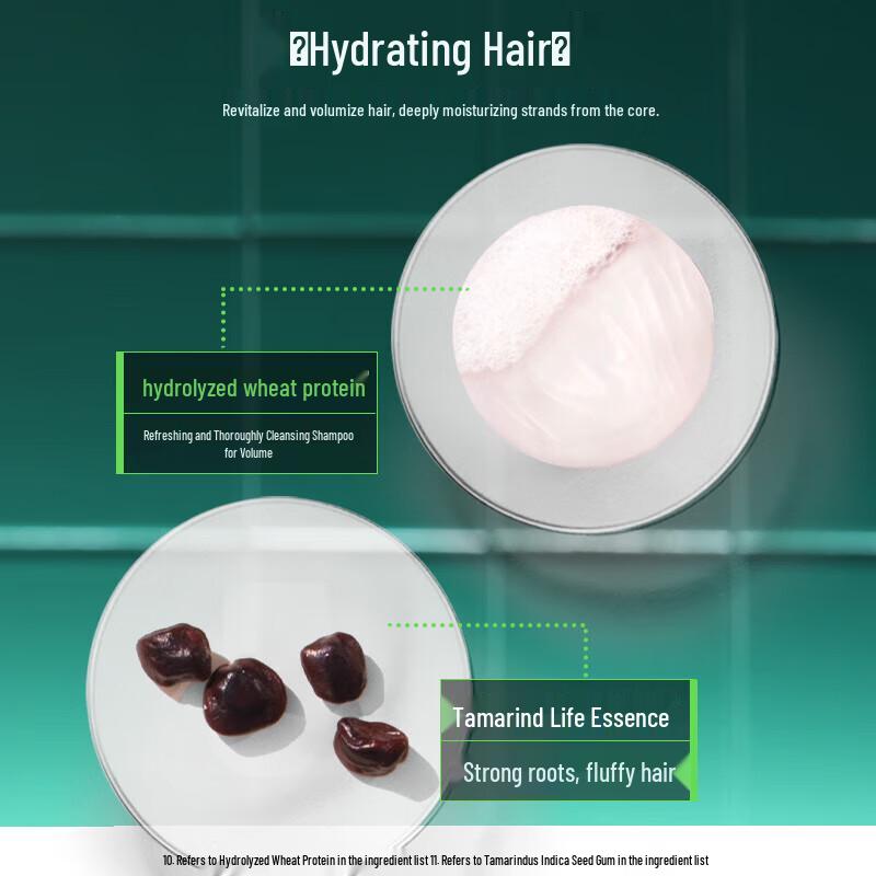 Rene Furterer FORTICEA Energizing Hair Care Travel Set