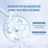 Hyaluronic Acid Serum Moisturizing Firming Skin Streaming Essence Skin Care