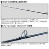 Daiwa Rod 21 Saltiga SJ AGS TG 55B-3