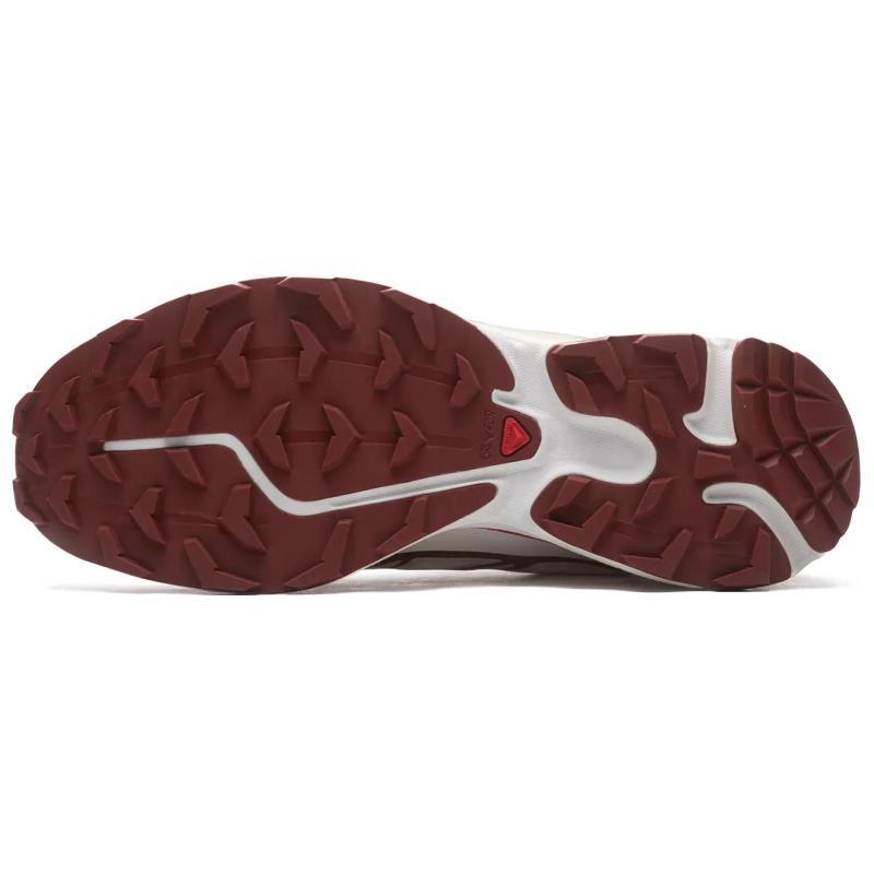 SALOMON Кроссовки XT 6 'Vanilla Ice Fired Brick' 475823