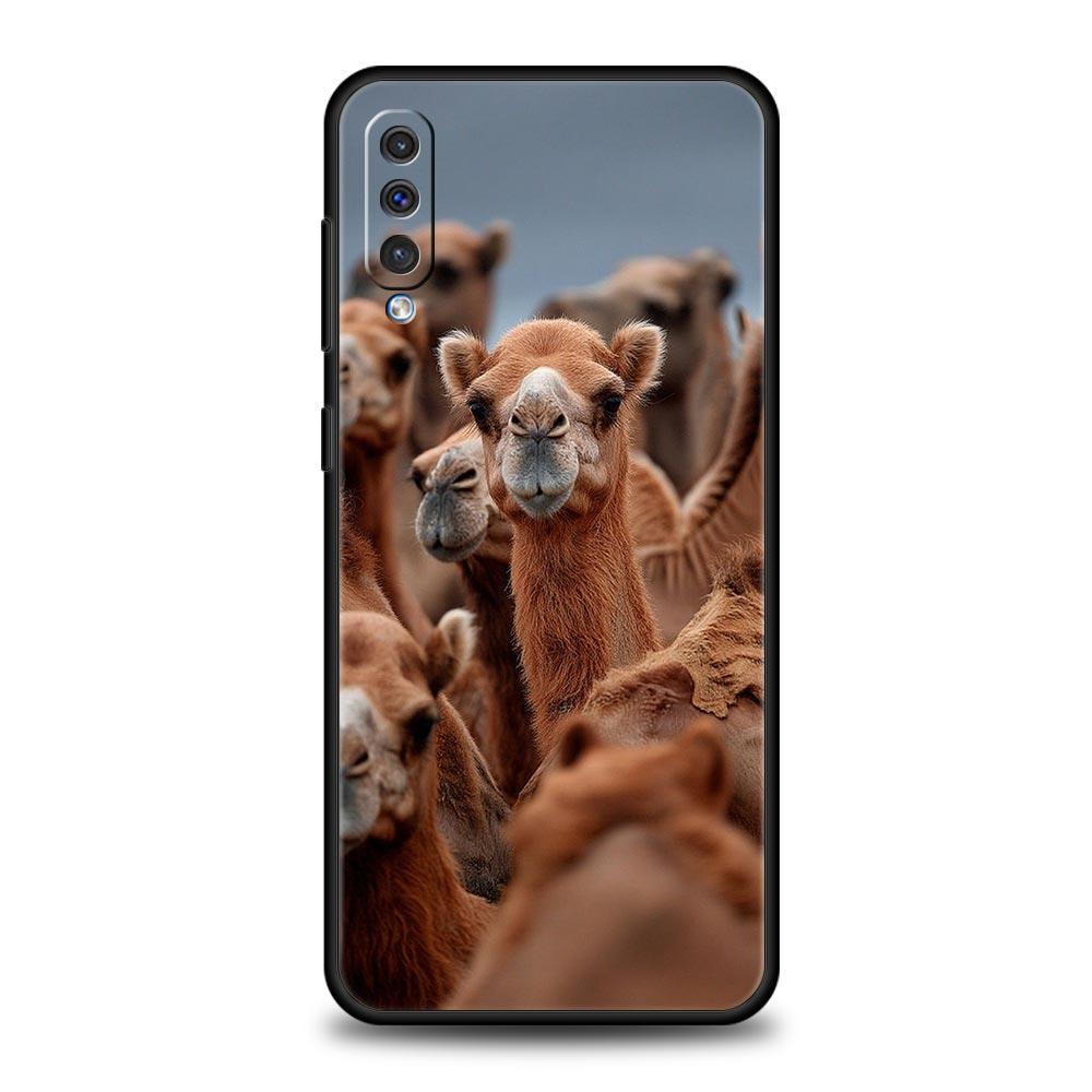 Animal Camel Phone Case for Samsung Galaxy A56 A54 A42 A36 A34 A26 A24 A16 A14 A12 A06 A50 A52 A10 5G Soft TPU Shell Fundas Bags