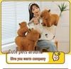 Cute Plush Capybara Doll & Pillow - Lying Version Birthday Gift
