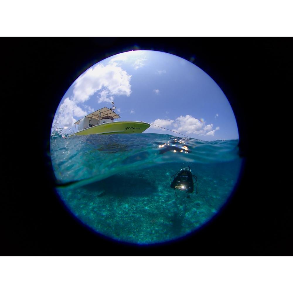 Конвертер «рыбий глаз» FCON-T02 (TG-5TG-6TG-7макросъемкаподводная фотографияна открытом воздухе)