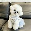 Blue Color Teddy Dog Skirt Cute Style Princess Dress New Summer Dog Dress  for Small Dogs