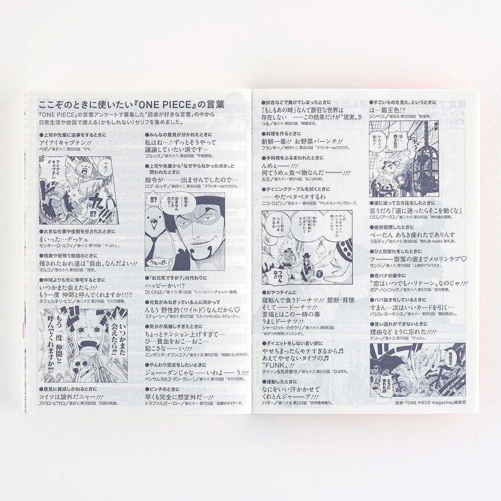 Hobonichi Techo 2025 Notebook Original ONE PIECE Japanese Page Per Day On (A6) [A6/1 (special edition)/January/starts Monday]