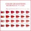 KATE Red Nude Rouge 06 Lipstick 1.9g (x 1)