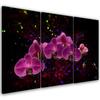 Three Piece Picture Canvas Print Orchid On Dark Background