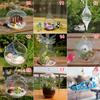 Hanging Transparent Ball Glass Flower Planter Vase Terrarium Landscape Container