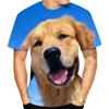 Летние футболки с 3D-принтом животных и собак, повседневные футболки с коротким рукавом, уличная одежда в стиле хип-хоп, харадзюку, мужские футболки