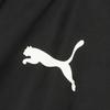 Puma Ветрозащитная куртка Timgol 23