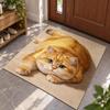 Realistic Bathroom Carpet 40×60CM 50×80CM 60×90CM Bedroom Door Rug 3D Cat Floor Mat  Home Decor