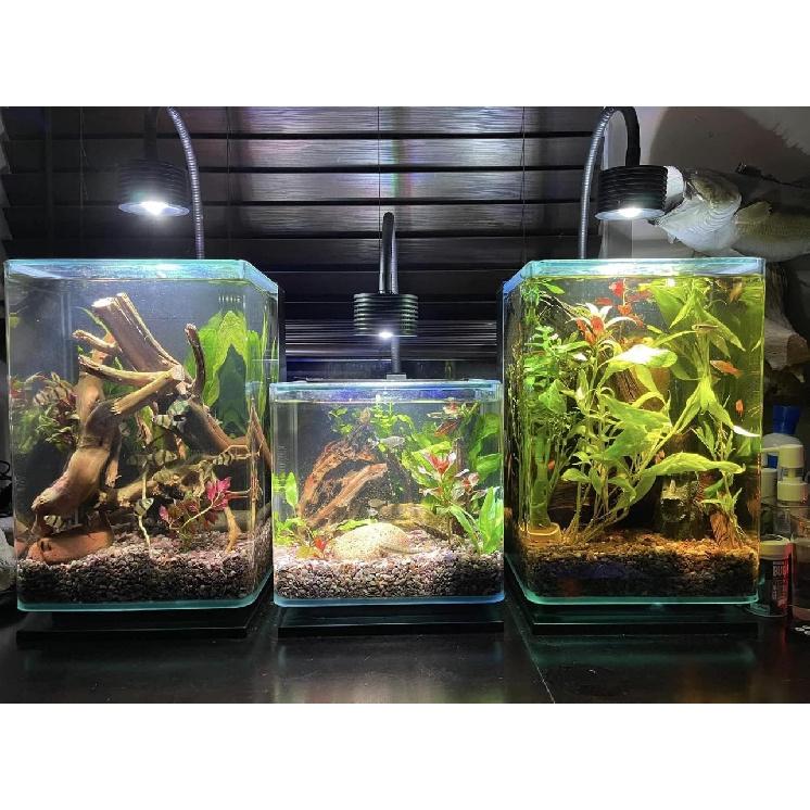 Lominie Aquarium Plant Light LED Aquarium Light Nano Freshwater Fish Tank LED Light for Refugium Planted Tank with Gooseneck
