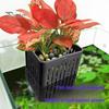 1/2/3/5/10Pcs Aquarium Plant Holder Top Hanging Fish Tank Planter Pot with Hook Platic Aquatic Plant Cup for Aquascape Decoration