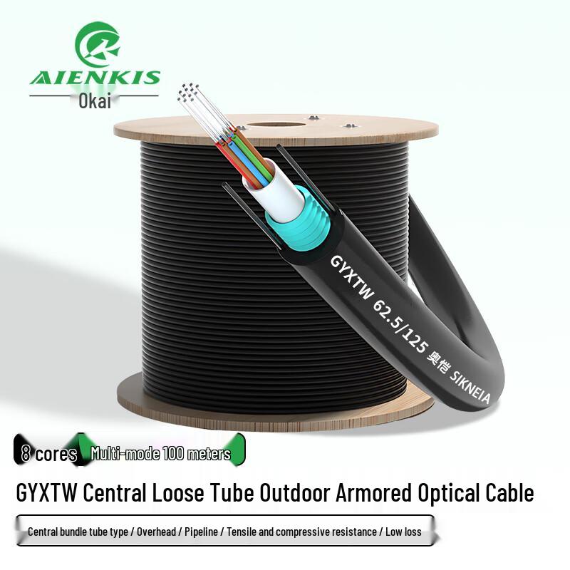 AIENKIS Outdoor Armored Multimode Fiber Optic Cable