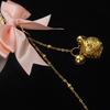Romance Nipple Clamps & Butt Plug Set - Flirt & Tease SM Props.