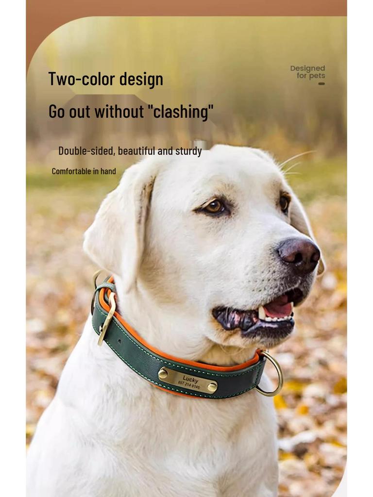 Laser-Engraved Leather Dog Collar with ID Tag for Small & Medium Dogs - Anti-Lost Pet Neck Band