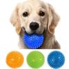 Dog Ball Toy Squeaky Tooth Cleaning TPR Training Supplies Puppy Pet Rubber Super Tough Interactive Chewing Toy