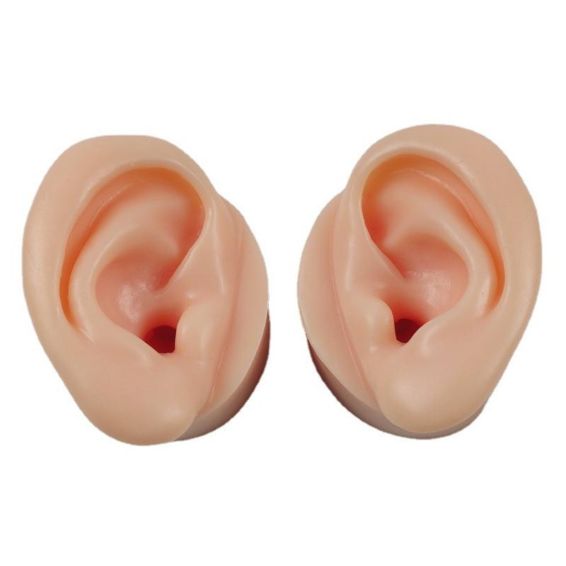 1/2Pcs Silicone Ear Model Impression Taking Training Ear Picking Practice