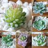 1Pc Plastic Fake Artificial Succulents Plant Bonsai Garden Home Office Decor