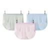 Bannen Cool Skin 5 Series Women's Seamless Ice Silk Mid-Waist Underwear 3-Pack