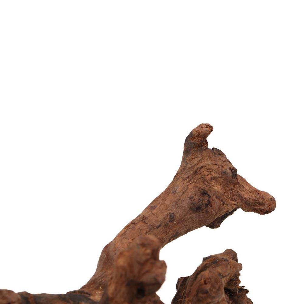 Натуральное дерево Водные растения Неправильной формы Корни дерева ананаса Воздушного Коралловое дерево для аквариума