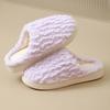 Plush Cotton Slippers Autumn and Winter 2025 New Non-slip Indoor Home Thick Bottom Thermal Cotton Drag Winter