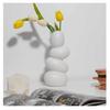 Pampas Grass Vase Money Plant Live Plants for Home, Office,Gifts- (Pebble Vase, Height- , White)