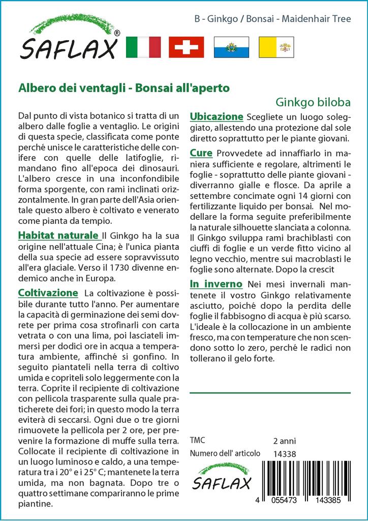 SAFLAX Garden in the Bag - Бонсай - Дерево девичьего волоса - 4 семени - С субстратом в подходящем пакете - Гинкго двулопастный