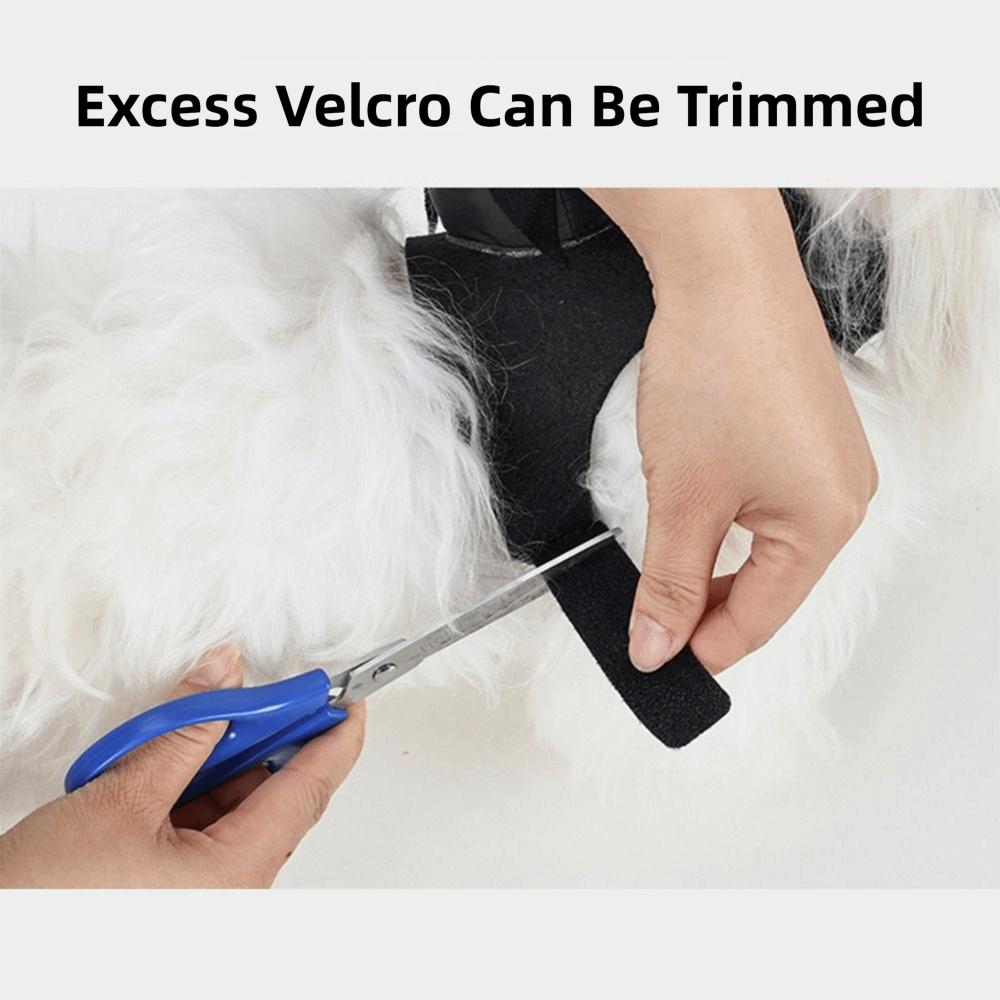 Creative Halloween Pet Costume Funny Dog Rider Costume Anime Cosplay Dog Costume Halloween Party
