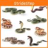 Plastic Model Snake Toy Reptile Decor Static Models For Gift Collection And