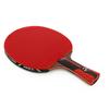 KANGLANGTE BOER 6-Star Table Tennis Racket